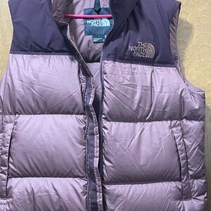 The North Face Purple and Brown Vest